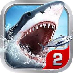 w92:com-www:w92:com